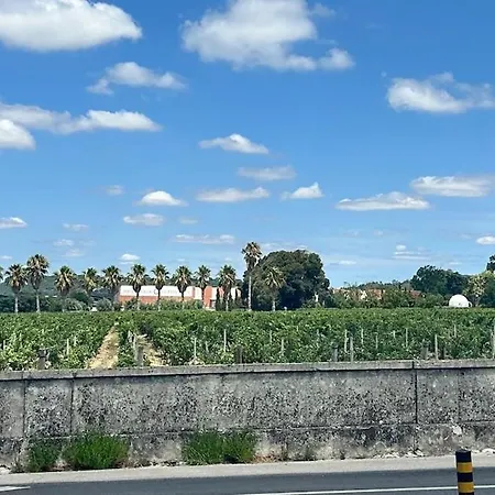 Semesterbostad Casa Da Arrabida *